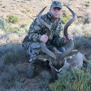 Kudu 46"