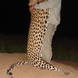 Namibia No 1 Leopard shot with African Twilight Safaris