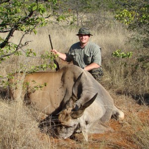 Eland Bull