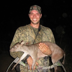 Maxwell's Duiker Bowhunting