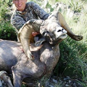 Hunting Desert Bighorn Sheep in Texas