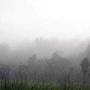 Central African Republic Landscape