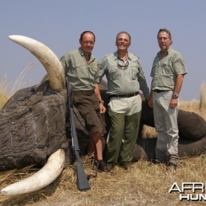 Hunting Elephant in Botswana