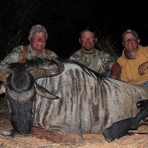 Blue Wildebeest South Africa