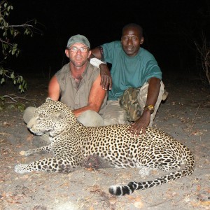 Very good Leopard (59 kg) from the Selous