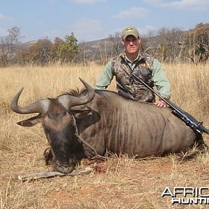 Blue Wildebeest South Africa