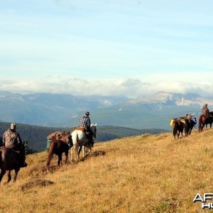 Hunting Big Horn Sheep in Southern British Columbia Canada