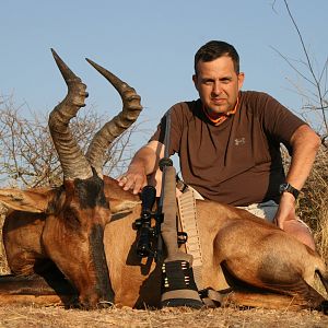 Hunting Hartebeest