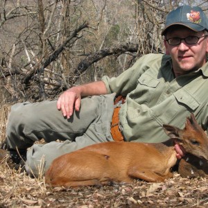 Hunting Red Duiker