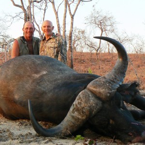 39" buffalo - Selous