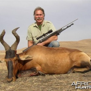 Red Hartebeest Namibia