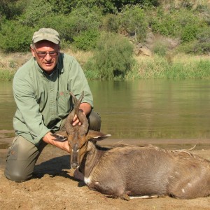 Bushbuck Zululand