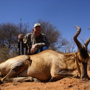 Red Hartebeeste - South Africa