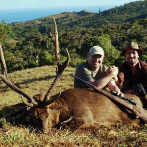 A 37 inches rusa deer hunted with "le chasseur mauricien ltd" in