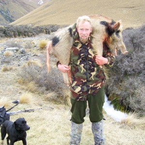 Pig Hunting with Dogs in New Zealand