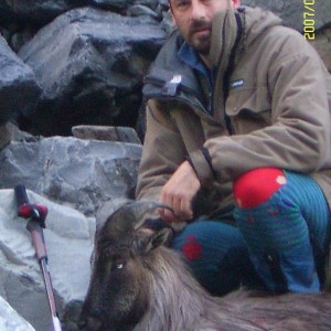 Thar Hunting in New Zealand