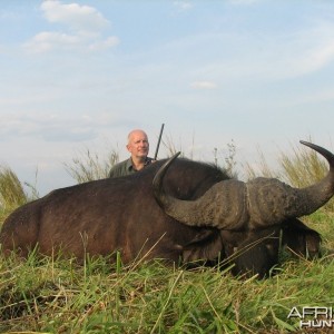 Hunting cape Buffalo Namibia