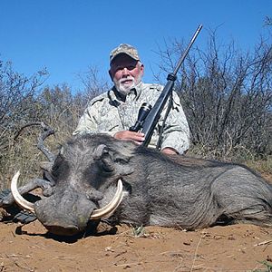 Hunting Warthog South Africa