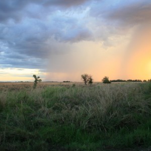 Hunting Tanzania... Kilombero