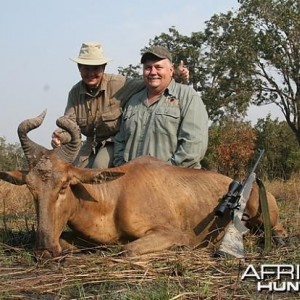 Lichtenstein's Hartebeest hunting in Tanzania