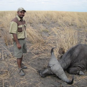 Cape Buffalo hunting in Tanzania