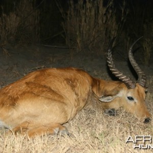 Puku Hunting in Tanzania