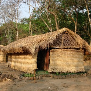 FHO Hunting Camp in CAR