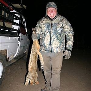 Hunting Wild Cat in South Africa