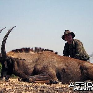 Hunting Roan Antelope in CAR