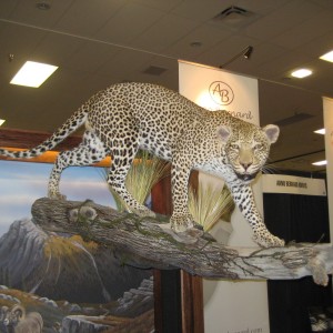 Taxidermy at Safari Club International Convention