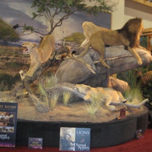 Taxidermy at Safari Club International Convention