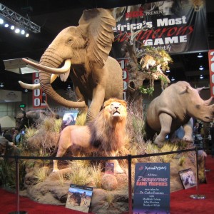 Taxidermy at Safari Club International Convention