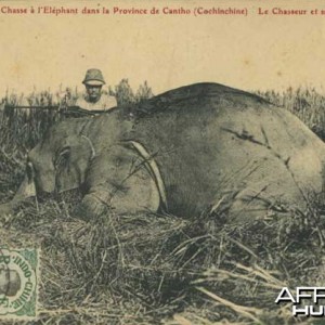 Hunting Elephant Indo China 1911