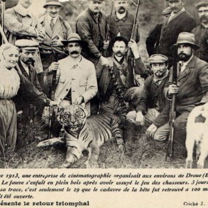 Tiger shot in France