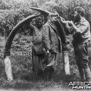 Tusks 1907