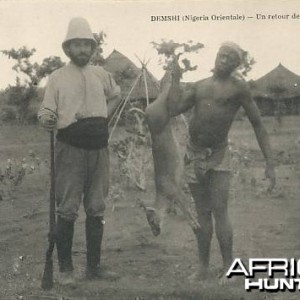 Hunting Duiker Nigeria