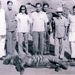 Tiger Shoot on River Chambal - 1952