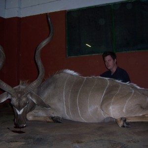 Kudu in the skinning shed