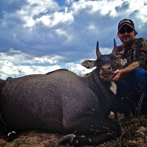 Happy Client with Nilgai