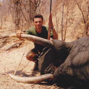 50 lbs elephant trophy