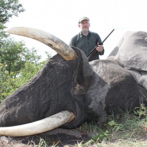 Caprivi Trophy Elephant Bull
