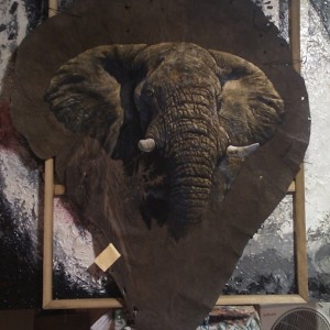 Elephant Ear by Dawie Fourie
