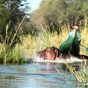 another narrow 'river horse' escape