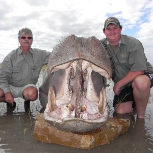 hippo taken on back waters of Lake Kariba