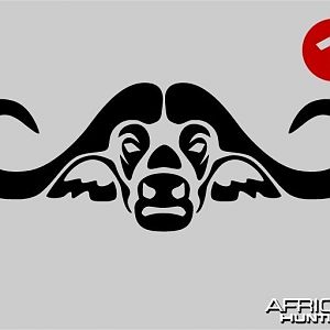 Cape Buffalo Logo