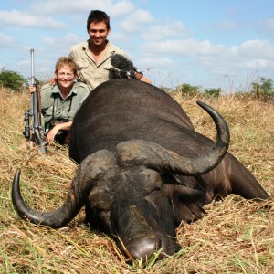 Mozambique Buffalo