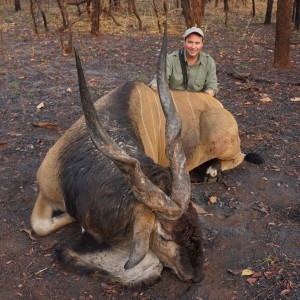 Old eland