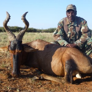 Red Hartebeest hunted with Ozondjahe Hunting Safaris in Namibia