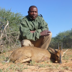 Duiker hunted with Ozondjahe Hunting Safaris in Namibia