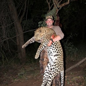 Leopard Zimbabwe